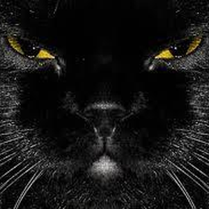 Foto de perfil de Eduardo Gonçalves da Silva