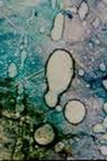 Prelude 1 (Prelude 1)