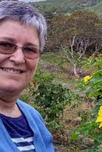 Socorro Miranda - Poster / Capa / Cartaz - Oficial 1