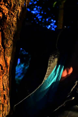 Malivy - A Lenda de Matilde (Malivy: A Lenda de Matilde)