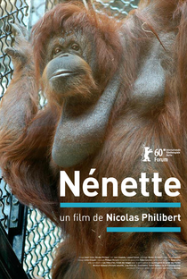 Nénette - Poster / Capa / Cartaz - Oficial 1