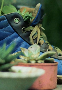 Trago seu amor (Trago seu amor)