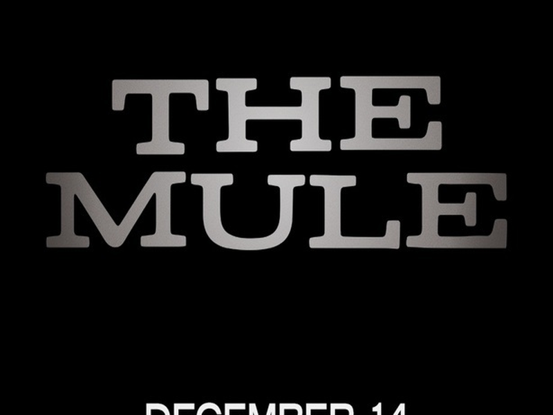 Foto 1 de A Mula