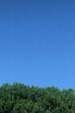 Juste avant midi (Juste avant midi)