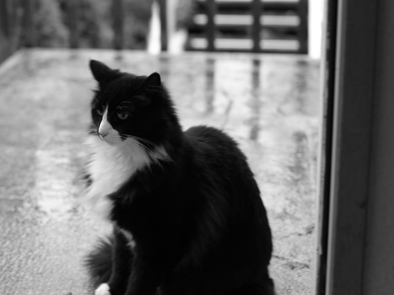 Foto 1 de Henri