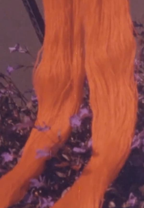 The Red Thread (The Red Thread)