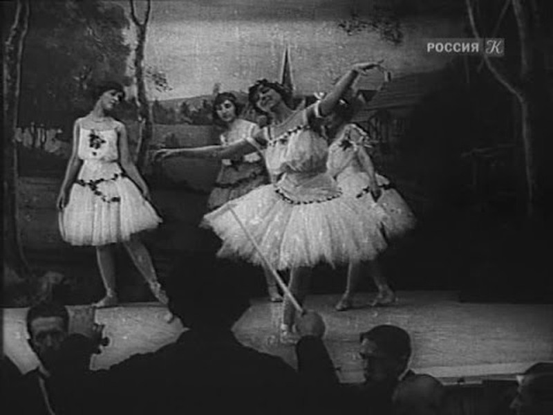 Foto 1 de Crisântemos