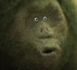 The Garden Ape