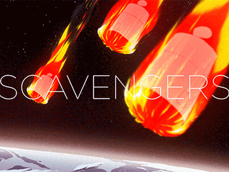 Foto 2 de Escaravelhos