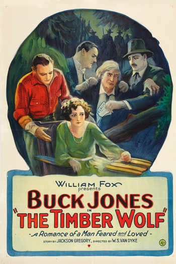 Poster de Filme O Lobo dos Montes (1925)