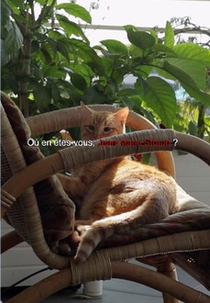 Onde está você, Jean-Marie Straub? (Où en êtes-vous, Jean-Marie Straub?)