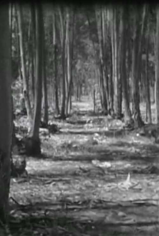 Poster 1 de Curta Neuer Fruhling (2006)