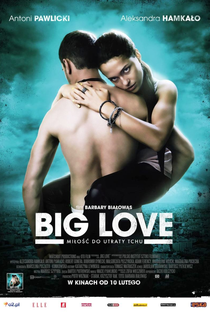 Big Love - Poster / Capa / Cartaz - Oficial 1