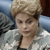Filme sobre impeachment vence prêmio em Madri