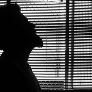 Foto de perfil de Dan Pissarenko