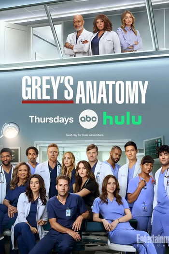 Poster de Série A Anatomia de Grey (22ª Temporada) (2025)