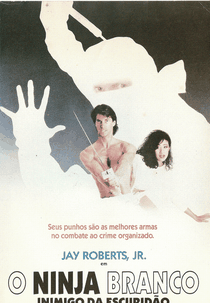 O Ninja Branco: Inimigo da Escuridão (White Phantom)