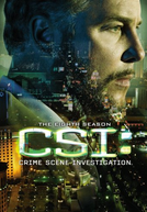 CSI: Investigação Criminal (8ª Temporada) (CSI: Crime Scene Investigation (Season 8))