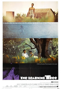 Com o Terror na Alma (The Learning Tree)