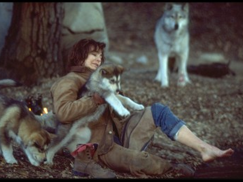 Foto 2 de A Noite do Lobo