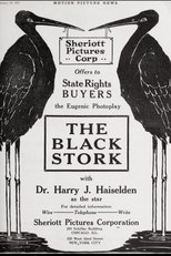 A Cegonha Negra (The Black Stork)