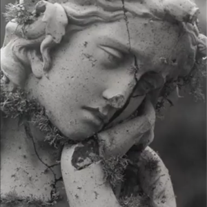 Foto de perfil de Angelica Baldin