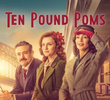 Ten Pound Poms