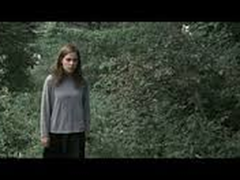 Foto 19 de La belle bête  