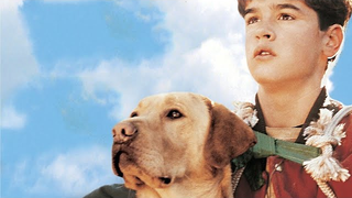Trailer: Far From Home: The Adventures of Yellow Dog - Trailer (Upscaled HD) (1995)