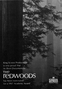 The Redwoods (The Redwoods)