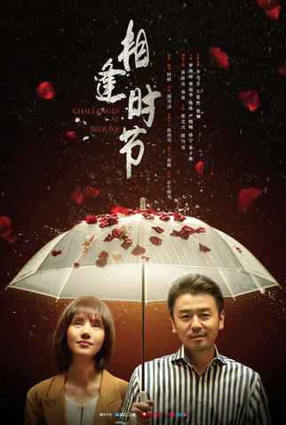 Poster 4 de Série Challenges at Midlife (2022)