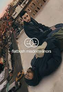 Flatbush Misdemeanors (1ª Temporada) (Flatbush Misdemeanors (Season 1))