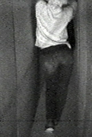 Poster 1 de Filme Walk with Contrapposto (1968)
