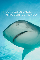 Os Tubarões Mais Perigosos do Mundo (Os Tubarões Mais Perigosos do Mundo)