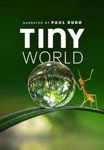 Pequenas Maravilhas (1ª Temporada) (Tiny World (Season 1))