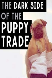 The cost of cute: The dark side of the puppy trade - Poster / Capa / Cartaz - Oficial 1