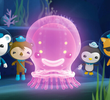 The Giant Jelly