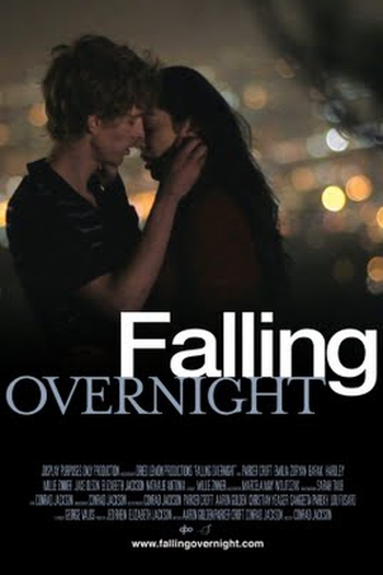 Poster de Filme Falling Overnight (2011)