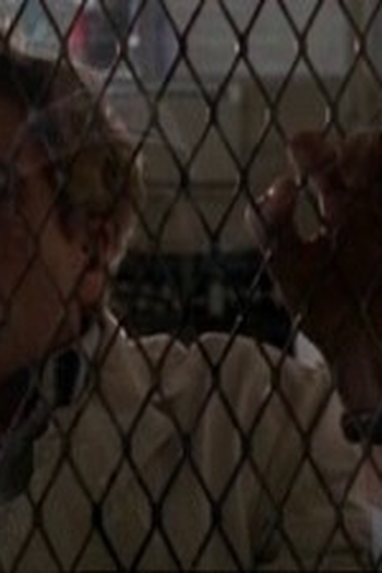 Poster de Episódio So Shall Ye Reap (1998)