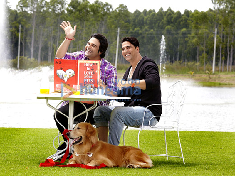 Foto 5 de Entertainment