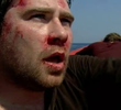 Shark Survivor
