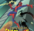 O Espetacular Homem-Aranha (1ª Temporada)