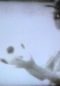 A Bola do Jogo (A Bola do Jogo)