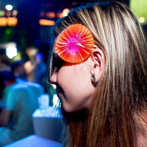 Foto de perfil de Ohana Fernandes