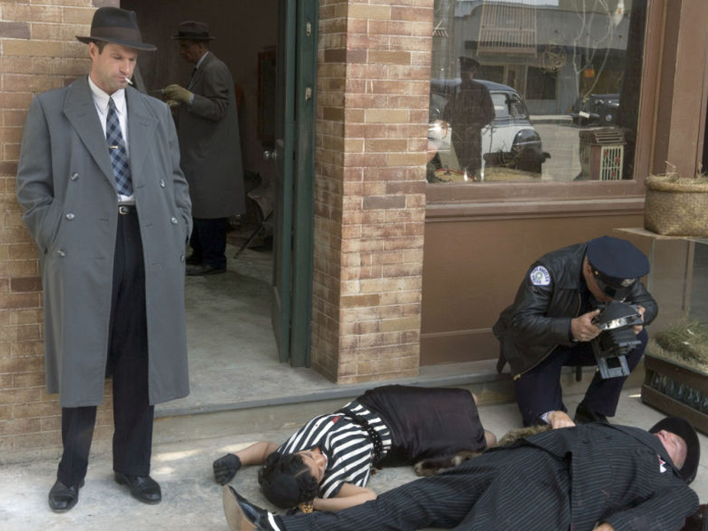 Foto 7 de Dália Negra