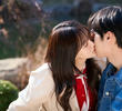 11회