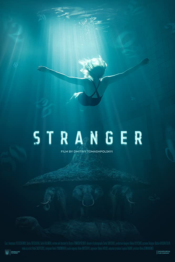 Poster de Filme Stranger (2019)