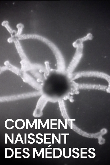 Poster de Curta Como Nascem as Medusas (1960)