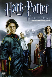 Harry Potter e o Cálice de Fogo - Poster / Capa / Cartaz - Oficial 17