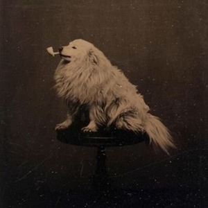 Foto de perfil de Pedro Ferro